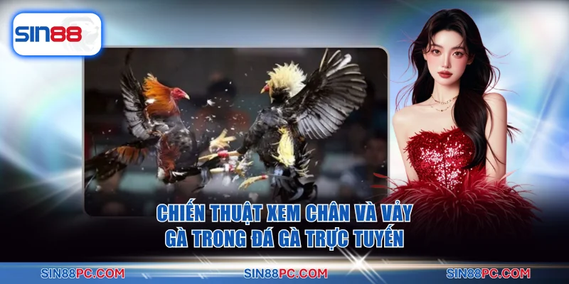 Chiến thuật xem chân và vảy gà trong đá gà trực tuyến