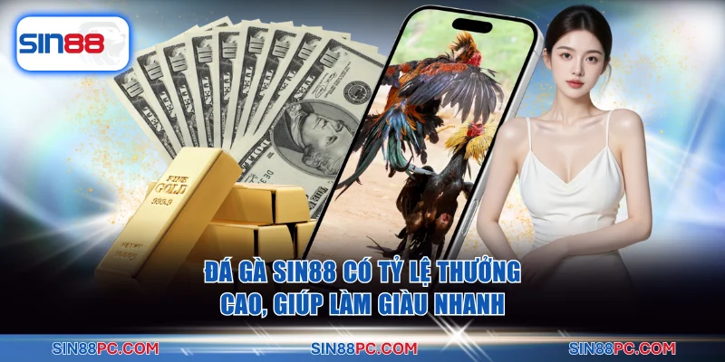 Đá gà SIN88 có tỷ lệ thưởng cao, giúp làm giàu nhanh