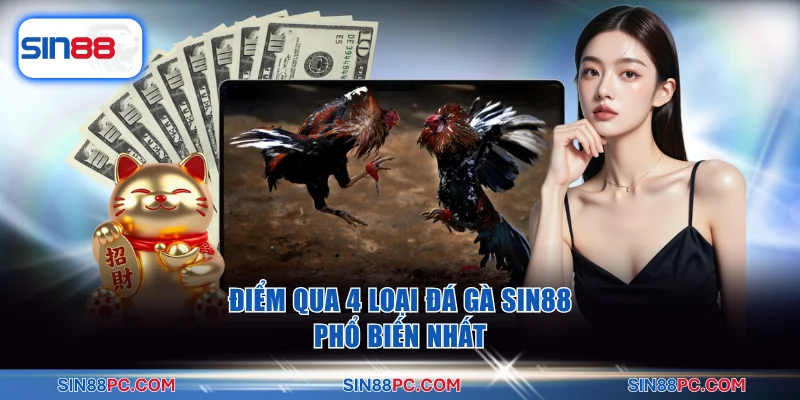 Điểm qua 4 loại đá gà SIN88 phổ biến nhất