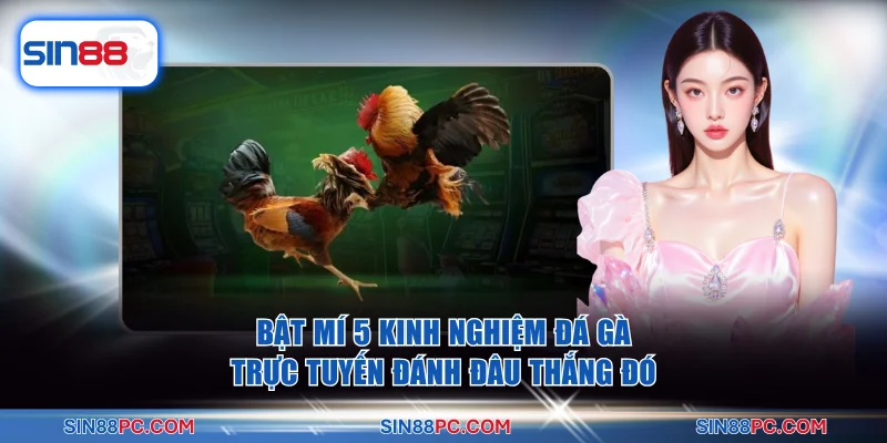 đá gà trực tuyến