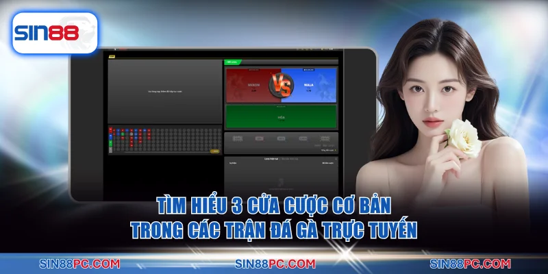 Tìm hiểu 3 cửa cược cơ bản trong các trận đá gà trực tuyến